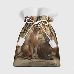 Подарочный мешок Петерболды сидят на фоне стены с граффити