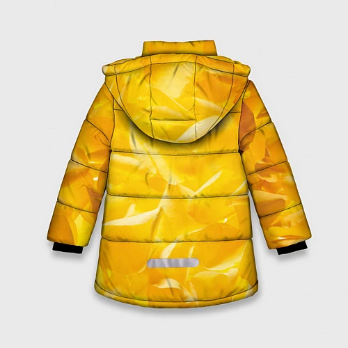 Зимняя куртка для девочки Pikachu / 3D-Черный – фото 2