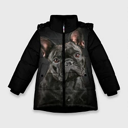 Куртка зимняя для девочки Французский бульдог, цвет: 3D-черный