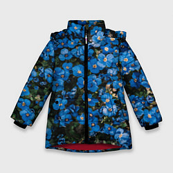 Куртка зимняя для девочки Поле синих цветов фиалки лето, цвет: 3D-красный