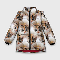 Куртка зимняя для девочки Маленький котенок паттерн, цвет: 3D-красный