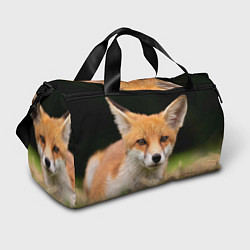 Спортивная сумка Мордочка лисицы