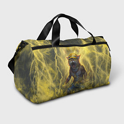 Спортивная сумка Наэлектризованный кот