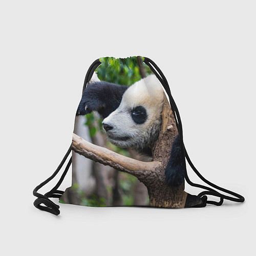 Мешок для обуви Бамбуковый медведь / 3D-принт – фото 2