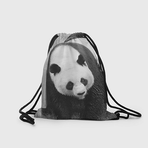Мешок для обуви Большая панда / 3D-принт – фото 2