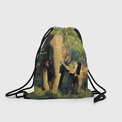 Рюкзак-мешок Семья слонов в природе, цвет: 3D-принт