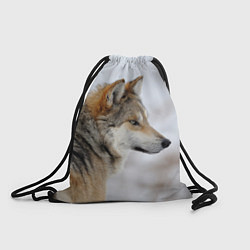 Рюкзак-мешок Хозяин леса, цвет: 3D-принт