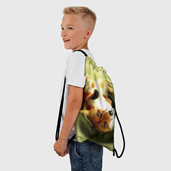 Рюкзак-мешок Лиса на траве, цвет: 3D-принт — фото 2