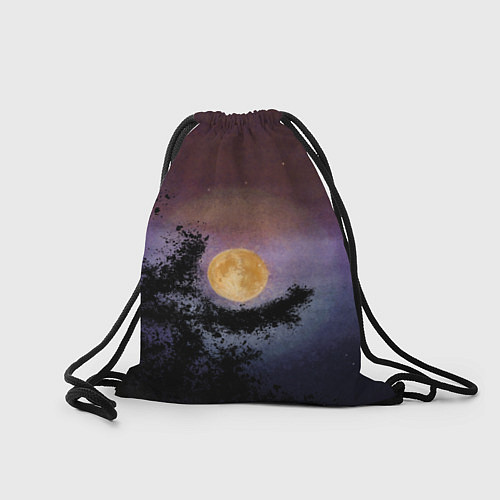 Мешок для обуви Night sky with full moon by Apkx / 3D-принт – фото 2