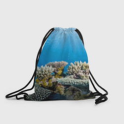 Рюкзак-мешок Кораллы в тропических водах индийского океана, цвет: 3D-принт