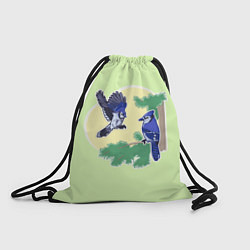Рюкзак-мешок Необычная яркая синяя сойка, цвет: 3D-принт