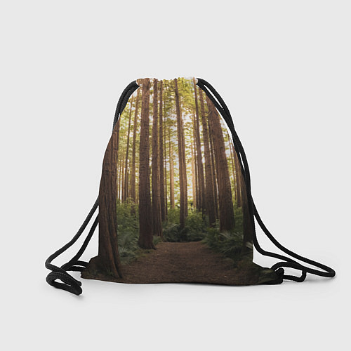 Мешок для обуви Дневной лес, деревья и свет / 3D-принт – фото 2
