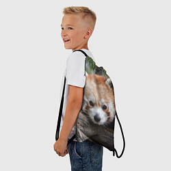 Рюкзак-мешок Красная панда, цвет: 3D-принт — фото 2
