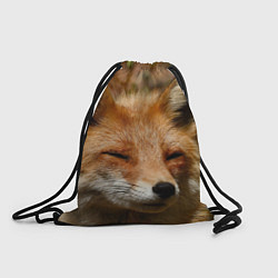 Рюкзак-мешок Лис дремлет, цвет: 3D-принт