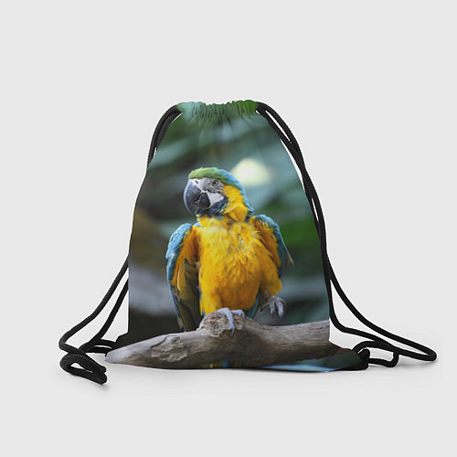 Мешок для обуви Красавец попугай / 3D-принт – фото 2