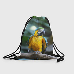 Рюкзак-мешок Красавец попугай, цвет: 3D-принт