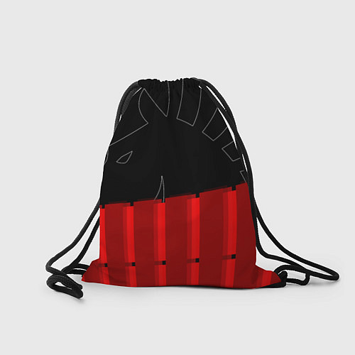 Мешок для обуви Форма Team Liquid red / 3D-принт – фото 2