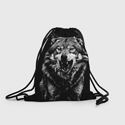 Рюкзак-мешок Злой волчара, цвет: 3D-принт