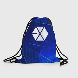 Мешок для обуви Exo blue poly