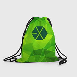 Мешок для обуви Exo green poly