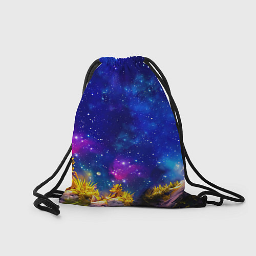 Мешок для обуви Лемур и звездная ночь / 3D-принт – фото 2