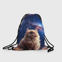 Мешок для обуви Гималайская кошка в космосе