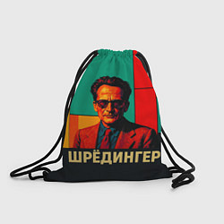 Рюкзак-мешок Шредингер поп-арт, цвет: 3D-принт