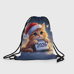 Мешок для обуви Кот который ждет новый год