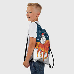Рюкзак-мешок Кот Бендер и огненный конь - 2026, цвет: 3D-принт — фото 2