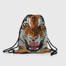 Мешок для обуви Взгляд тигра