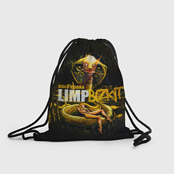 Рюкзак-мешок Gold Cobra: Limp Bizkit, цвет: 3D-принт
