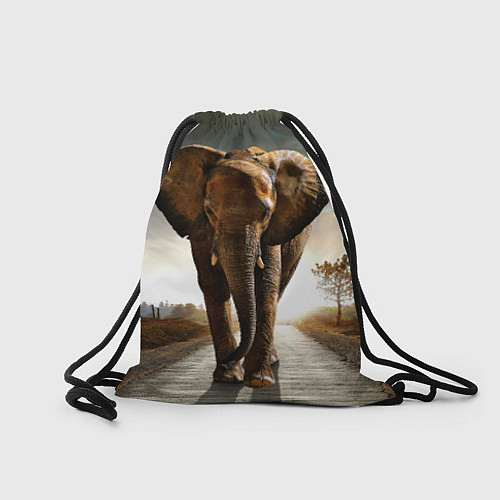 Мешок для обуви Дикий слон / 3D-принт – фото 2