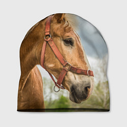 Шапка Игривая лошадка, цвет: 3D-принт