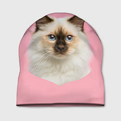 Шапка Пушистый кот, цвет: 3D-принт