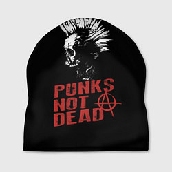 Шапка Punks Not Dead