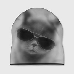 Шапка Крутой кот в очках в тумане, цвет: 3D-принт