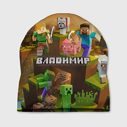 Шапка Владимир Minecraft, цвет: 3D-принт