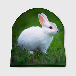 Шапка Кролик на фоне травы