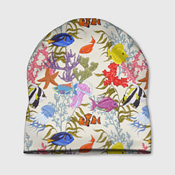 Шапка Морские обитатели моря