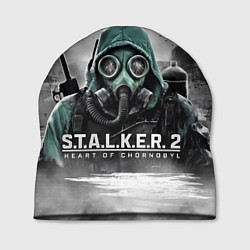 Шапка Stalker 2 heart of Chornobyl radiation, цвет: 3D-принт