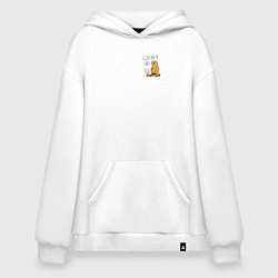 Худи оверсайз Ленивиц за ноутом