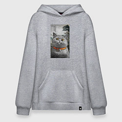 Толстовка-худи оверсайз Мемный кот в японском стиле, цвет: меланж