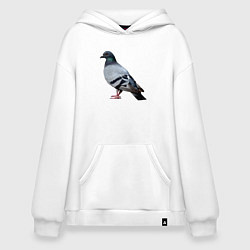 Худи оверсайз Голубь сизый