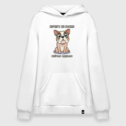 Худи оверсайз Собака, мем, ничего не понял