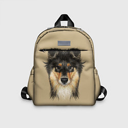 Детский рюкзак Rouge Collie