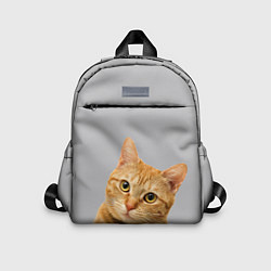 Детский рюкзак Рыжий котик