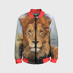 Бомбер детский Красавец лев, цвет: 3D-красный