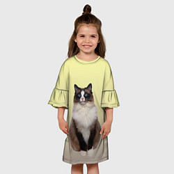 Платье клеш для девочки Персидская пушистая кошка, цвет: 3D-принт — фото 2