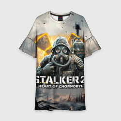 Платье клеш для девочки S t a l k e r Heart of Chornobyl, цвет: 3D-принт