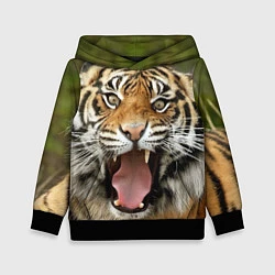 Толстовка-худи детская Удивленный тигр, цвет: 3D-черный